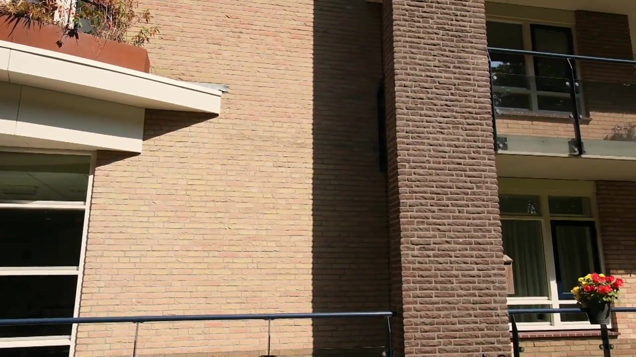 Video van De Sanderij 100