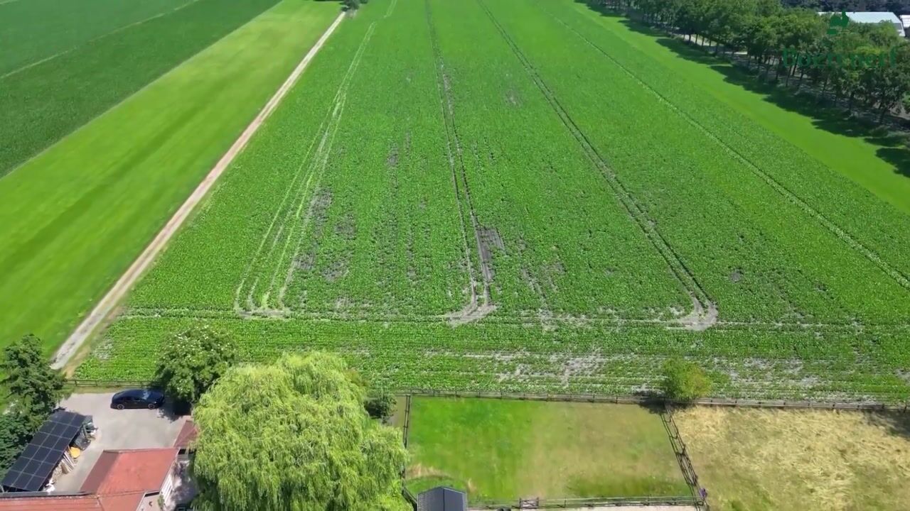 Video van Stegerensallee 44