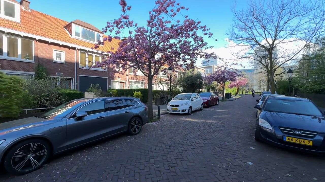 Video of Amalia van Solmsstraat 146-A