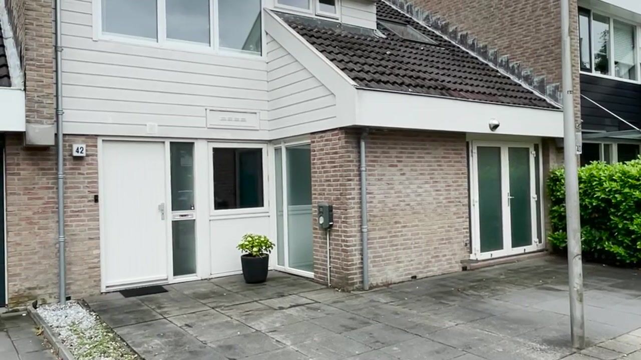 Video van Veenmos 42