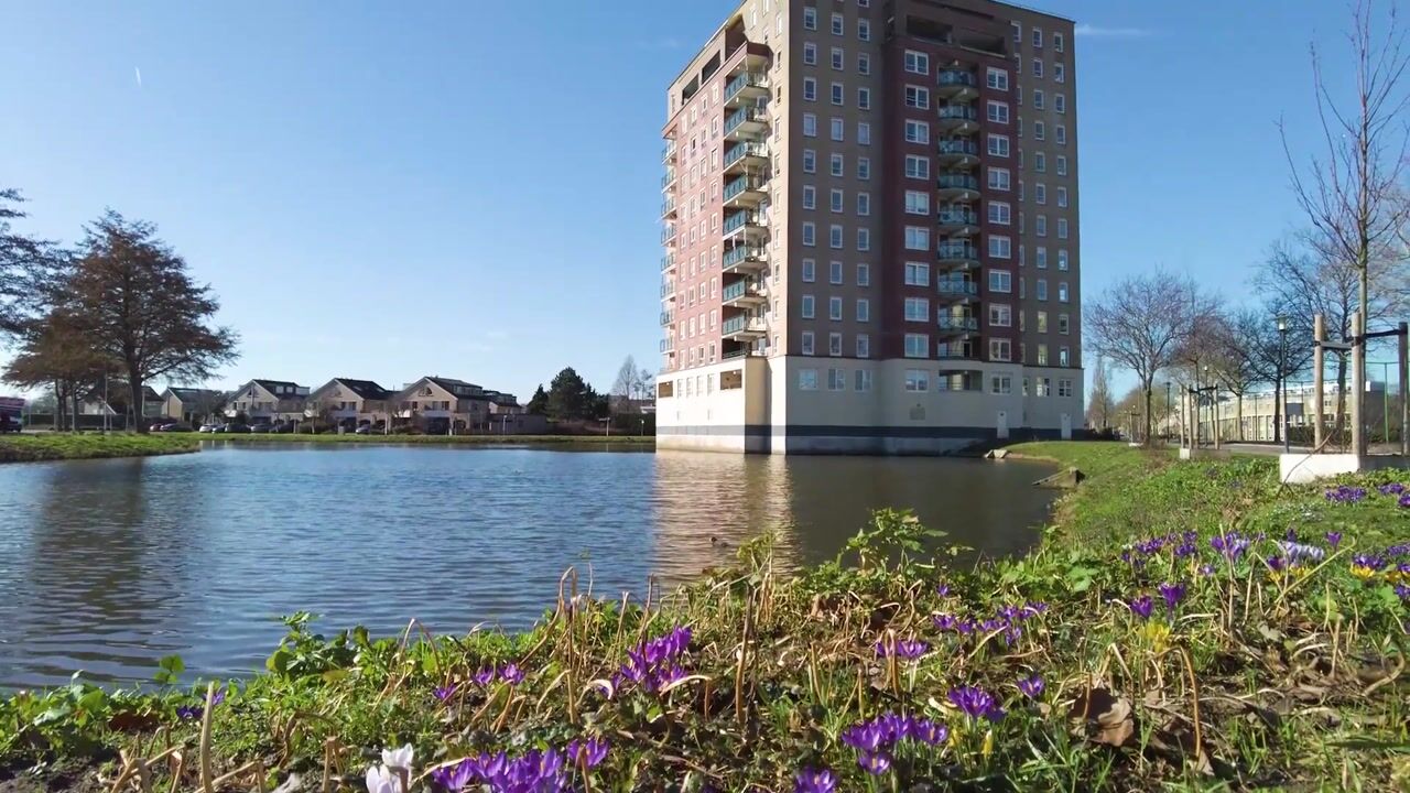 Video of Rossinistraat 152