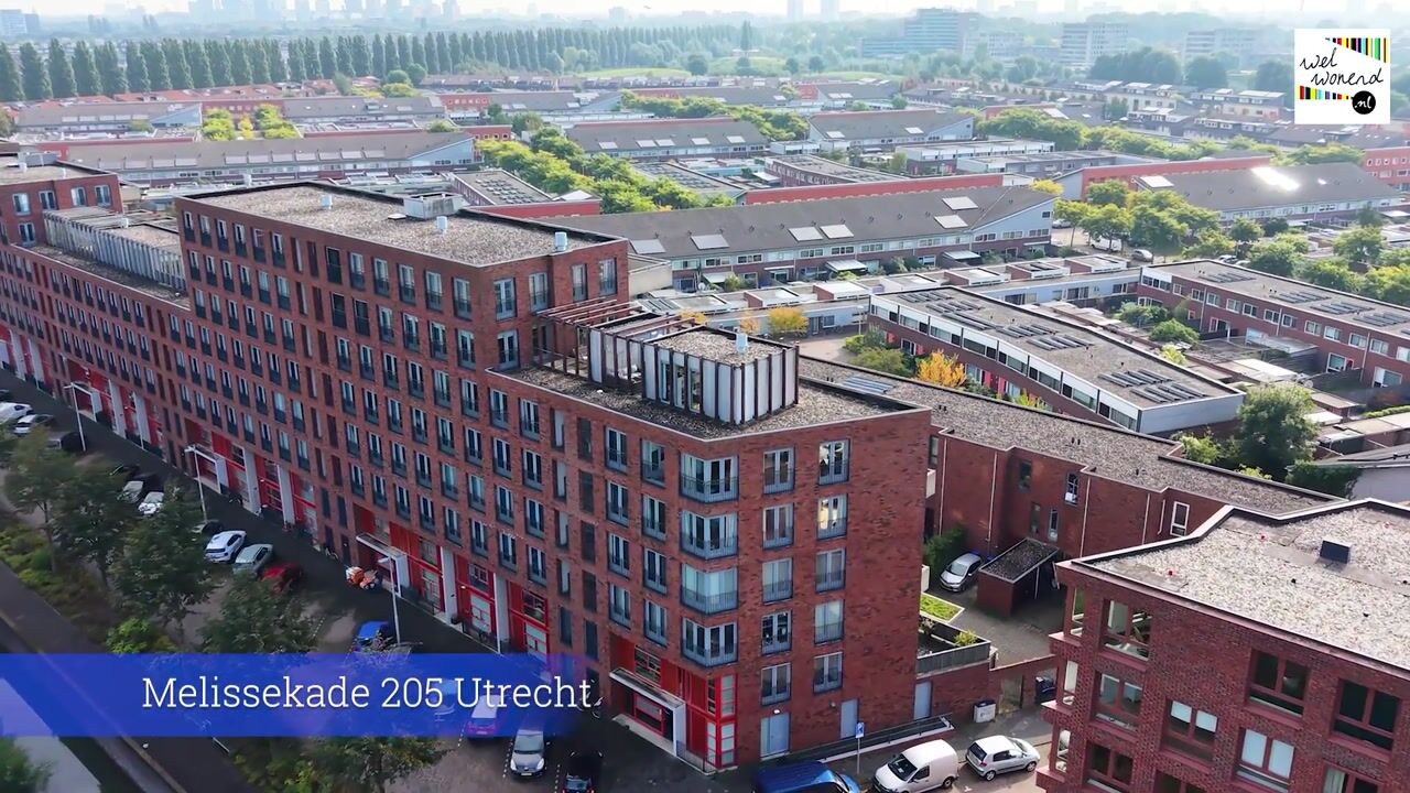 Video of Melissekade 205