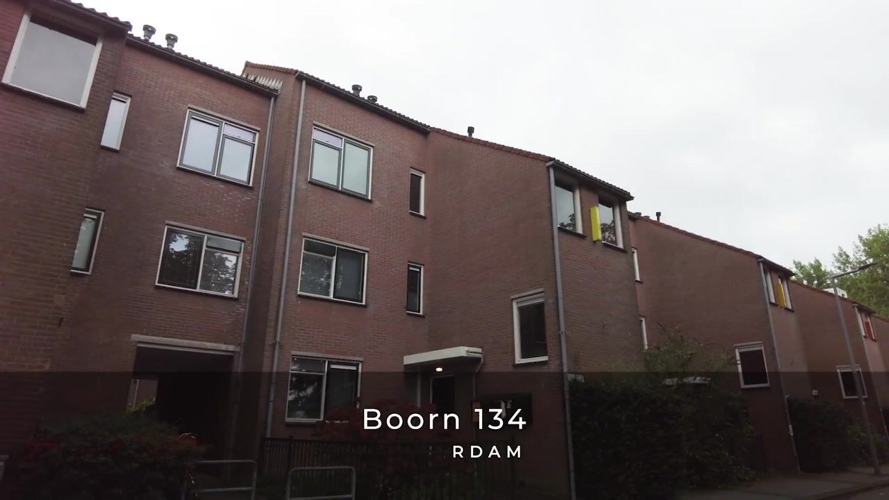 Video van Boorn 134