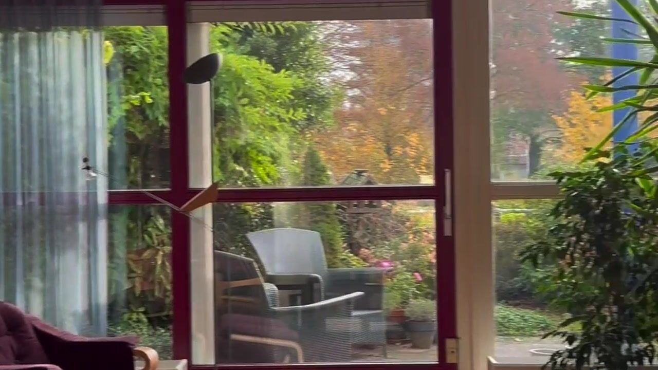 Video van Rigantstraat 12