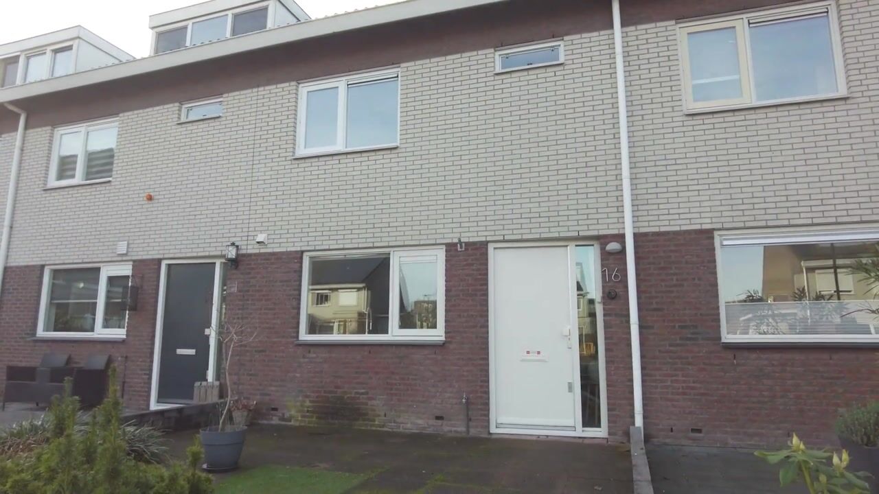 Video van Koraalzwam 16