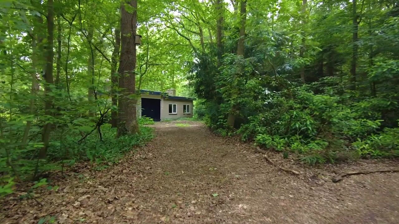 Video van Boterpol 41
