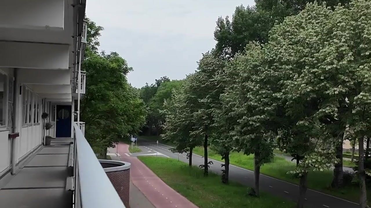 Video van Wilddreef 36