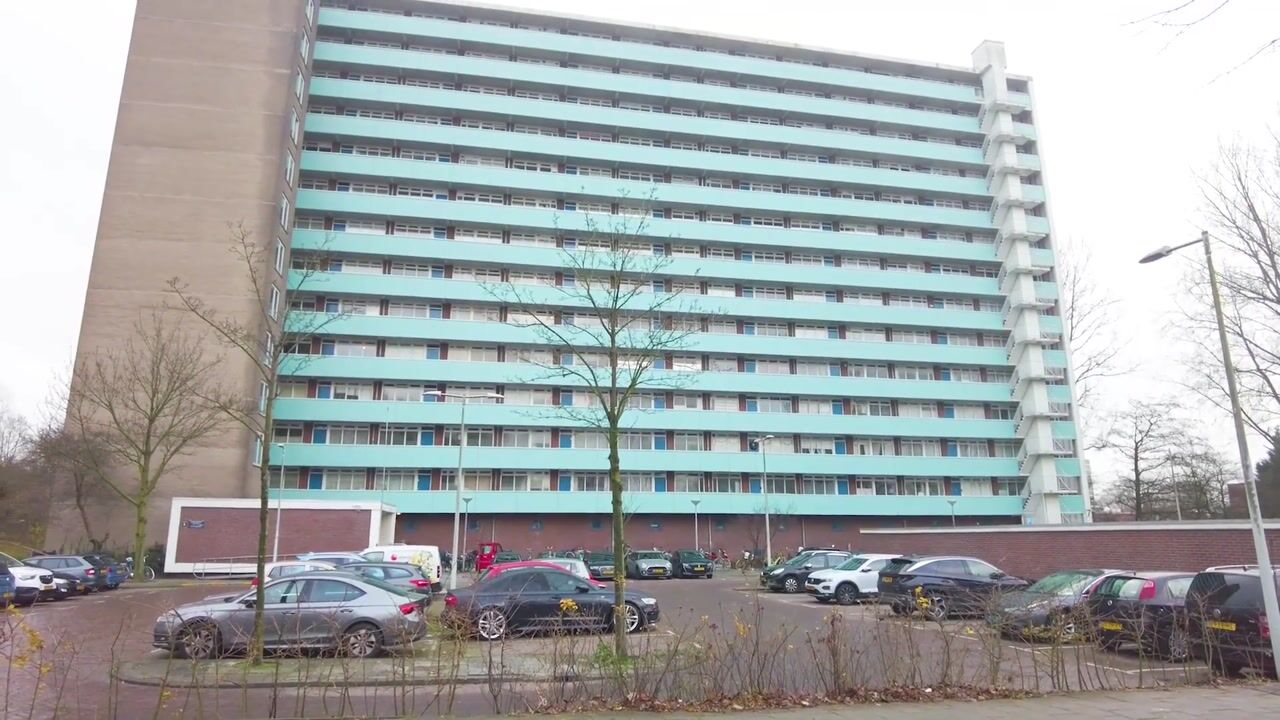 Video van Langswater 874