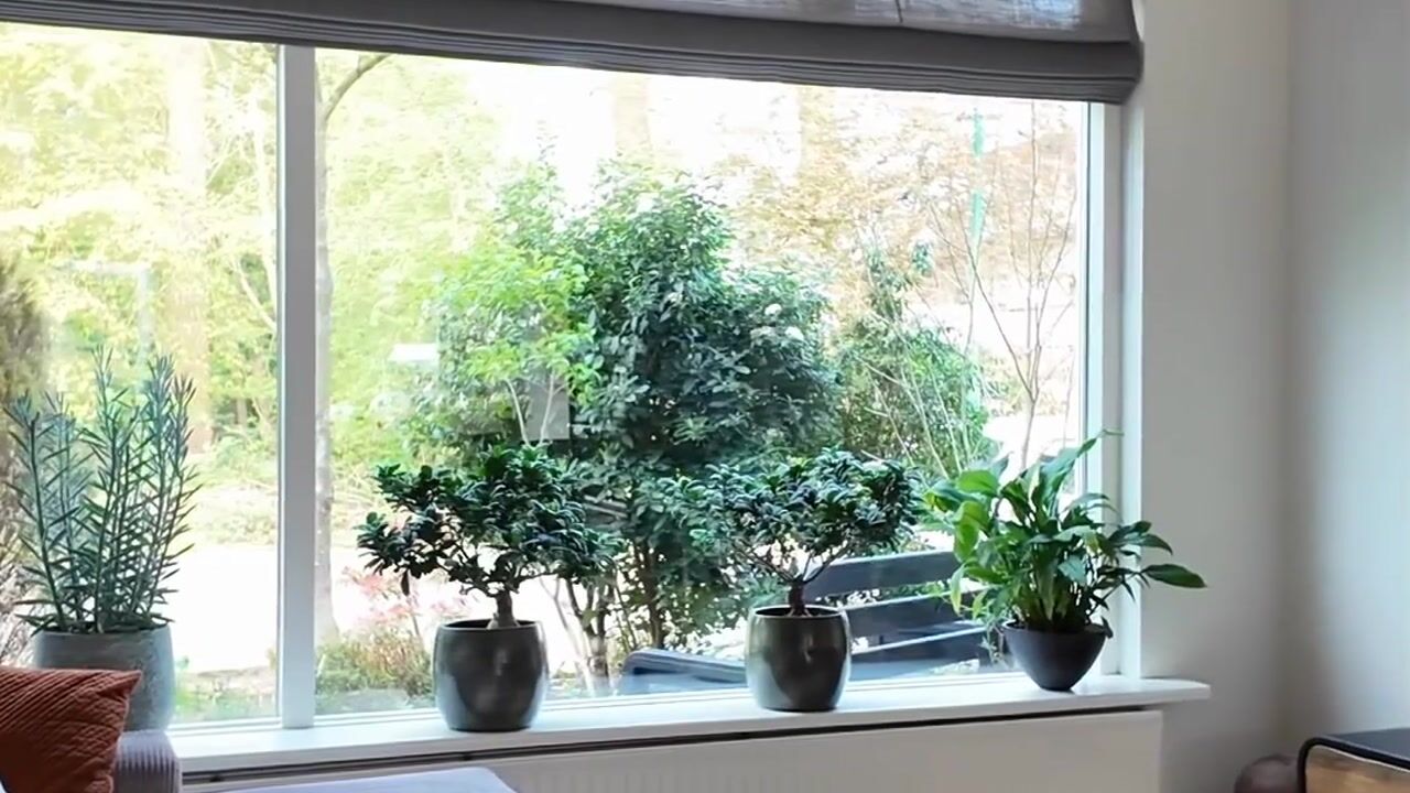 Video van Jacob Catslaan 27