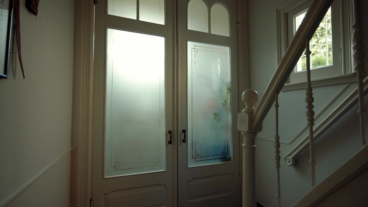 Video of Wilhelminalaan 31