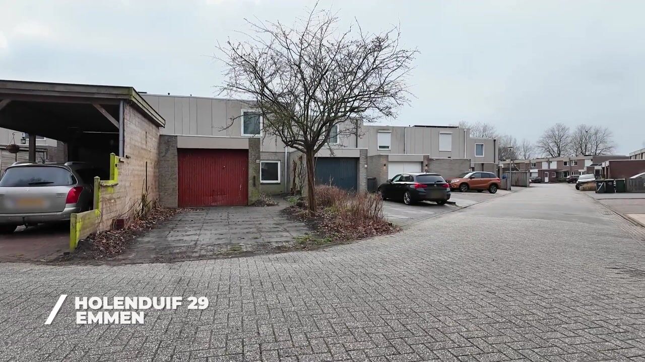 Video van Holenduif 29