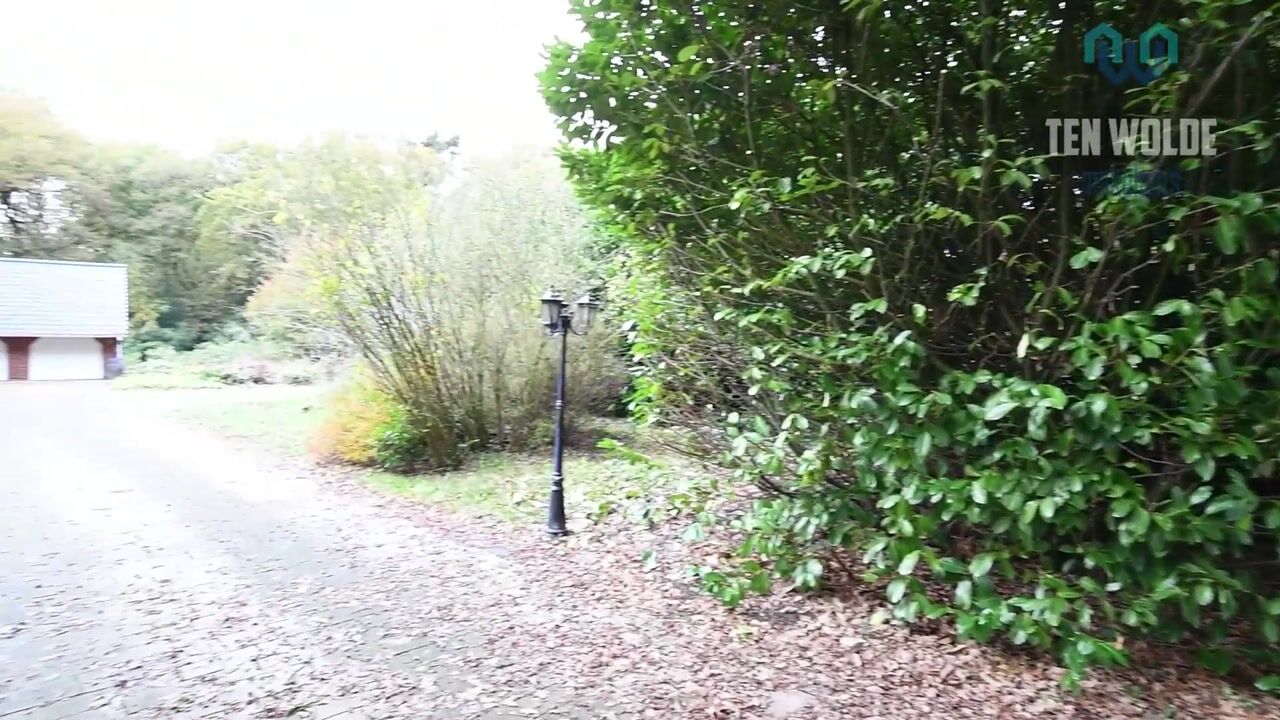 Video of Dalerstraat 38-A