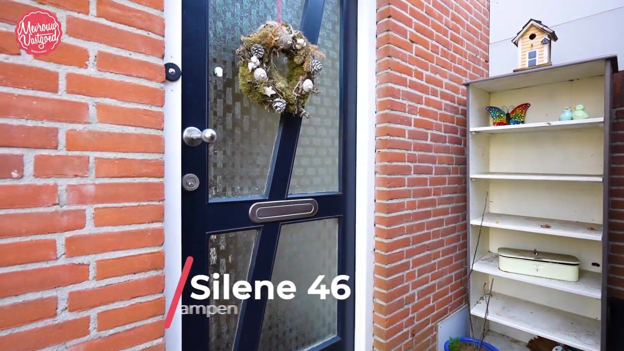 Video of Silene 46