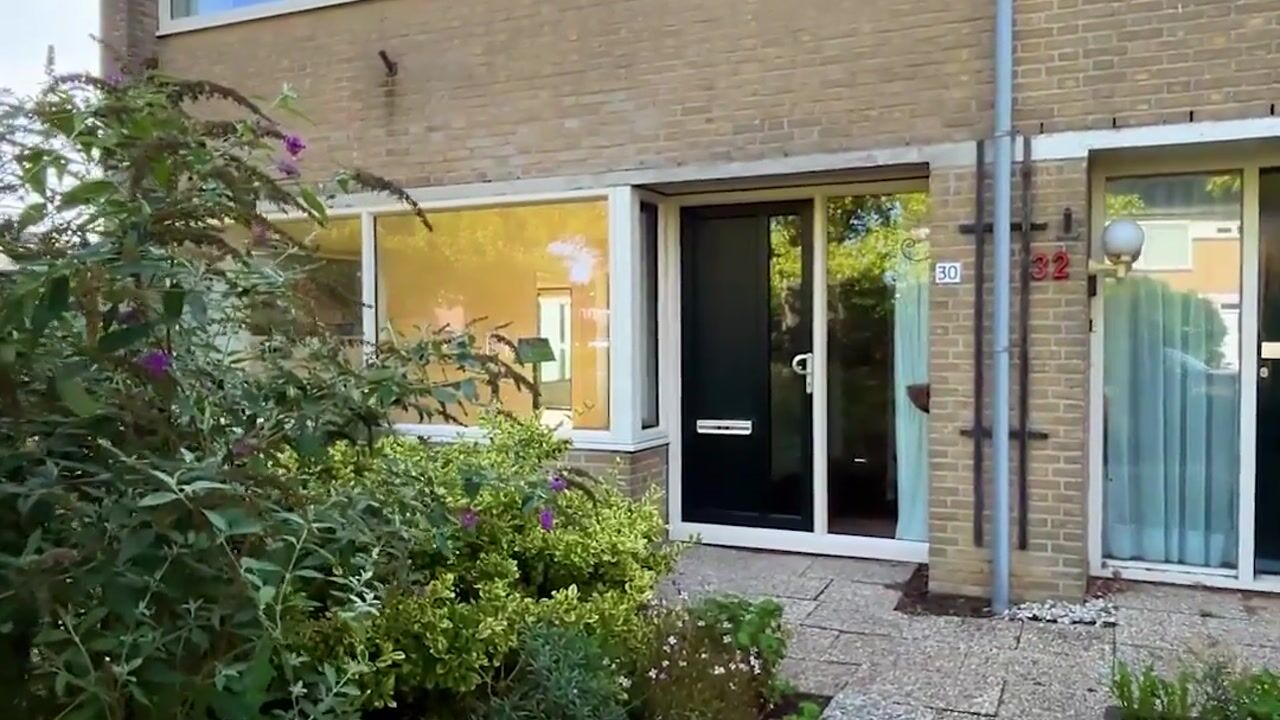 Video van De Omloop 30