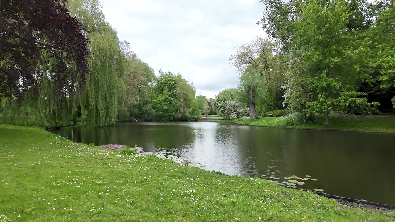 Video van Koninginnelaan 27