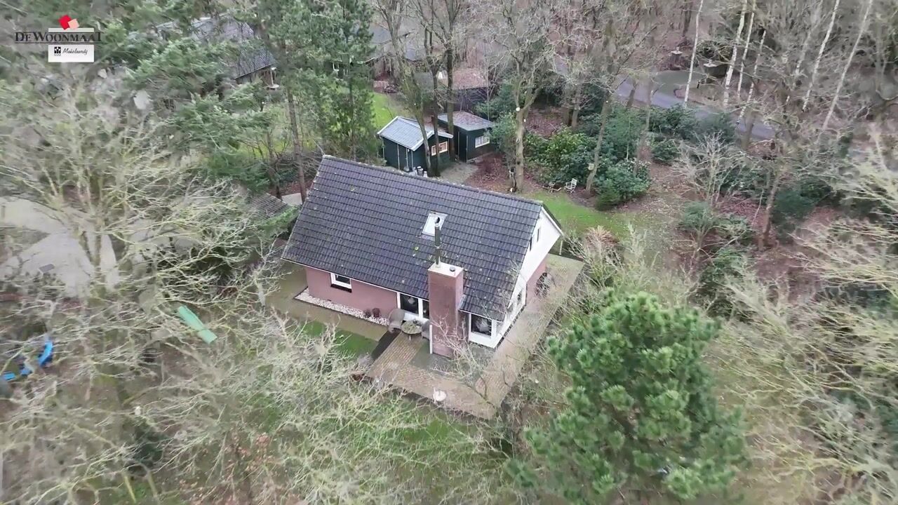 Video of Witteveen 20-Y