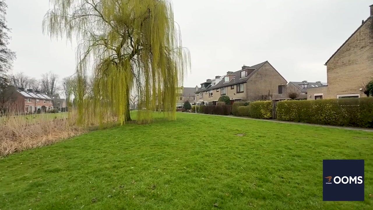 Video van Korenbloem 31