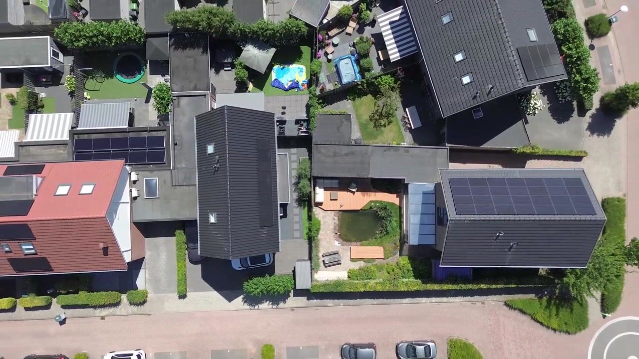 Video van Frankentaler 7