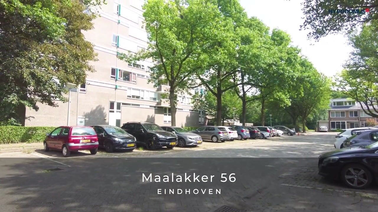 Video of Maalakker 56