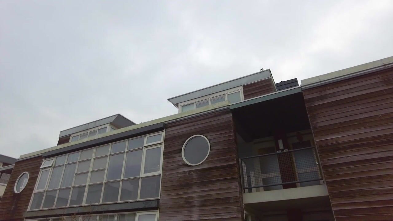 Video van Het Leiwerk 34