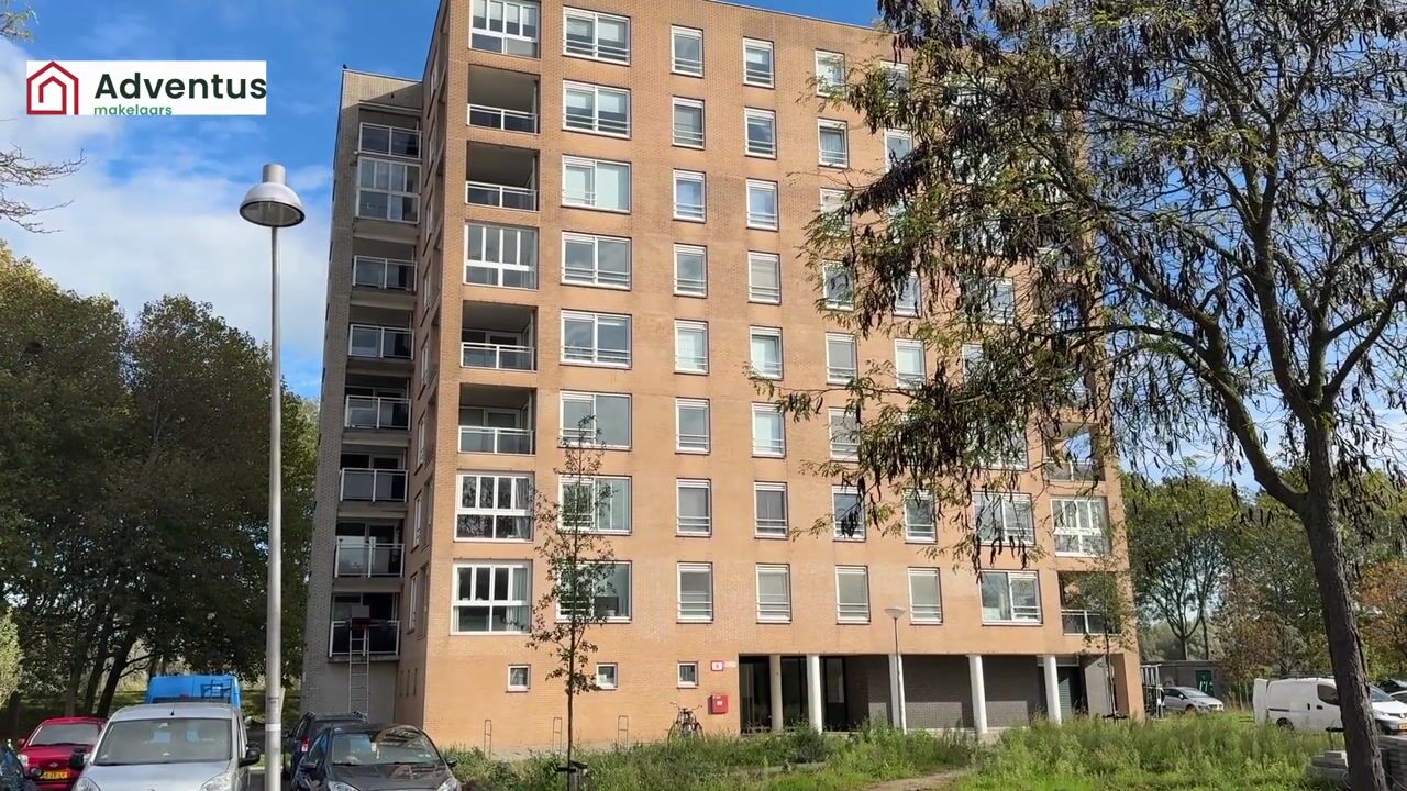 Video of Hermelijnvlinder 147