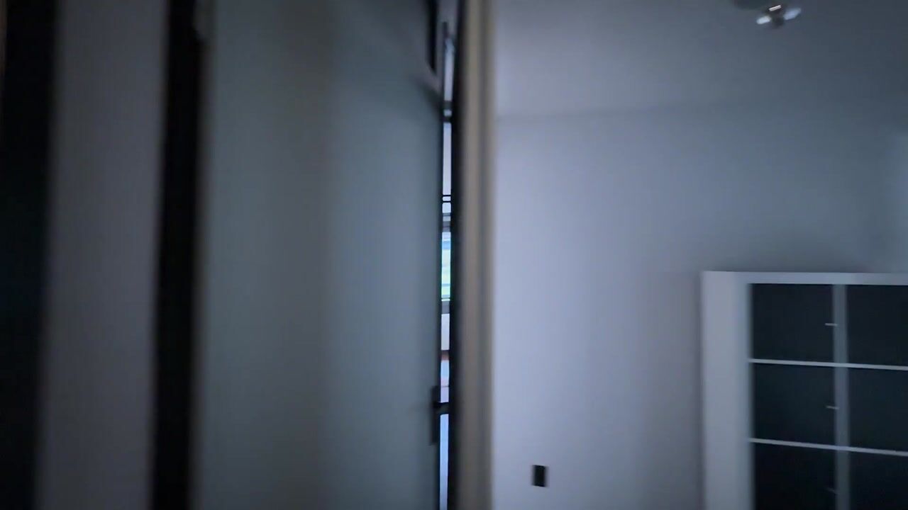 Video of Duinluststraat 19