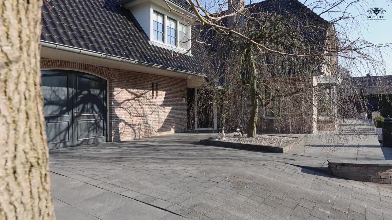 Video of Stobbenkamp 4