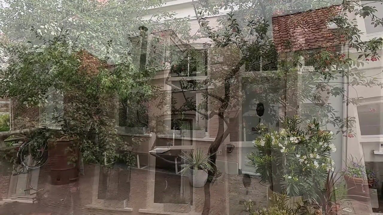 Video van Zeilstraat 113