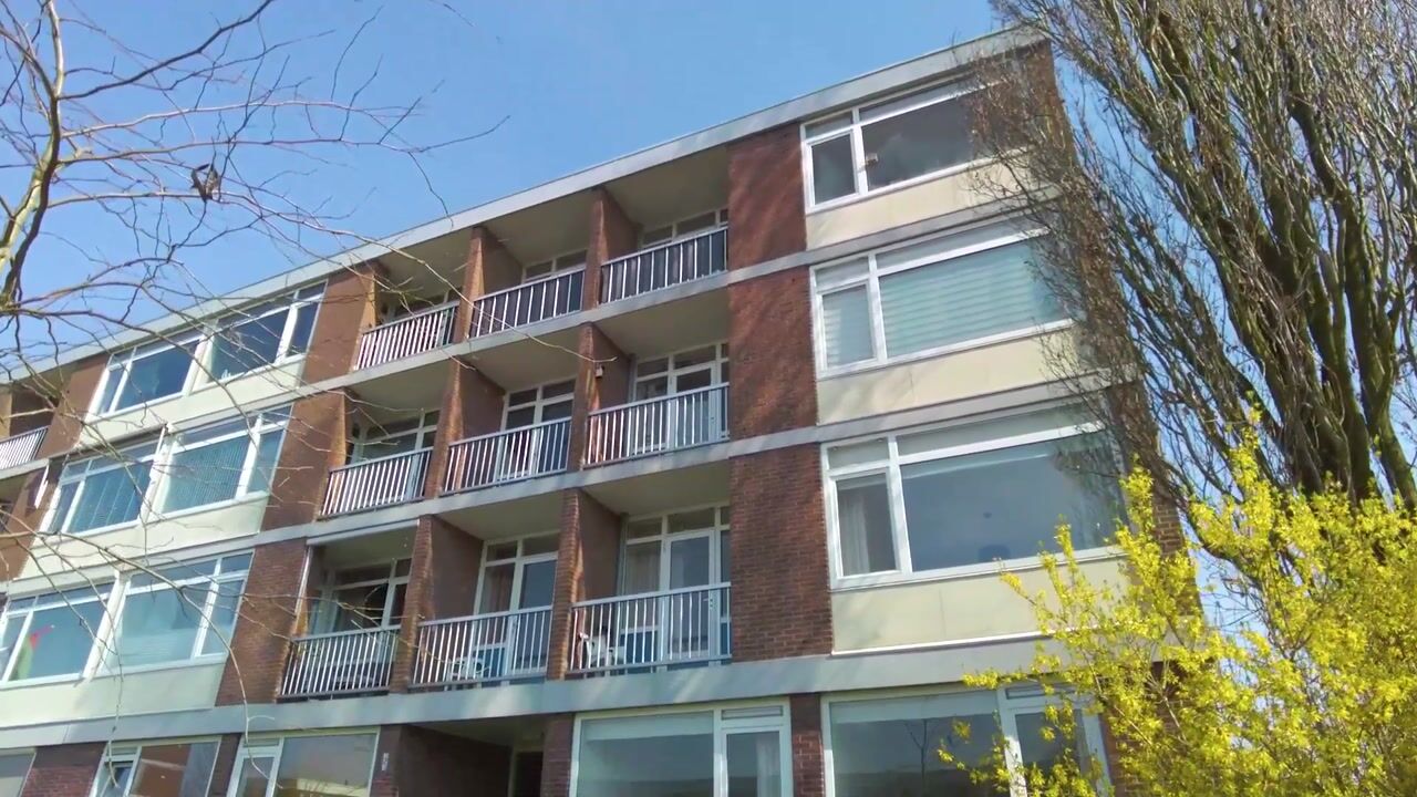 Video van Newtonstraat 91
