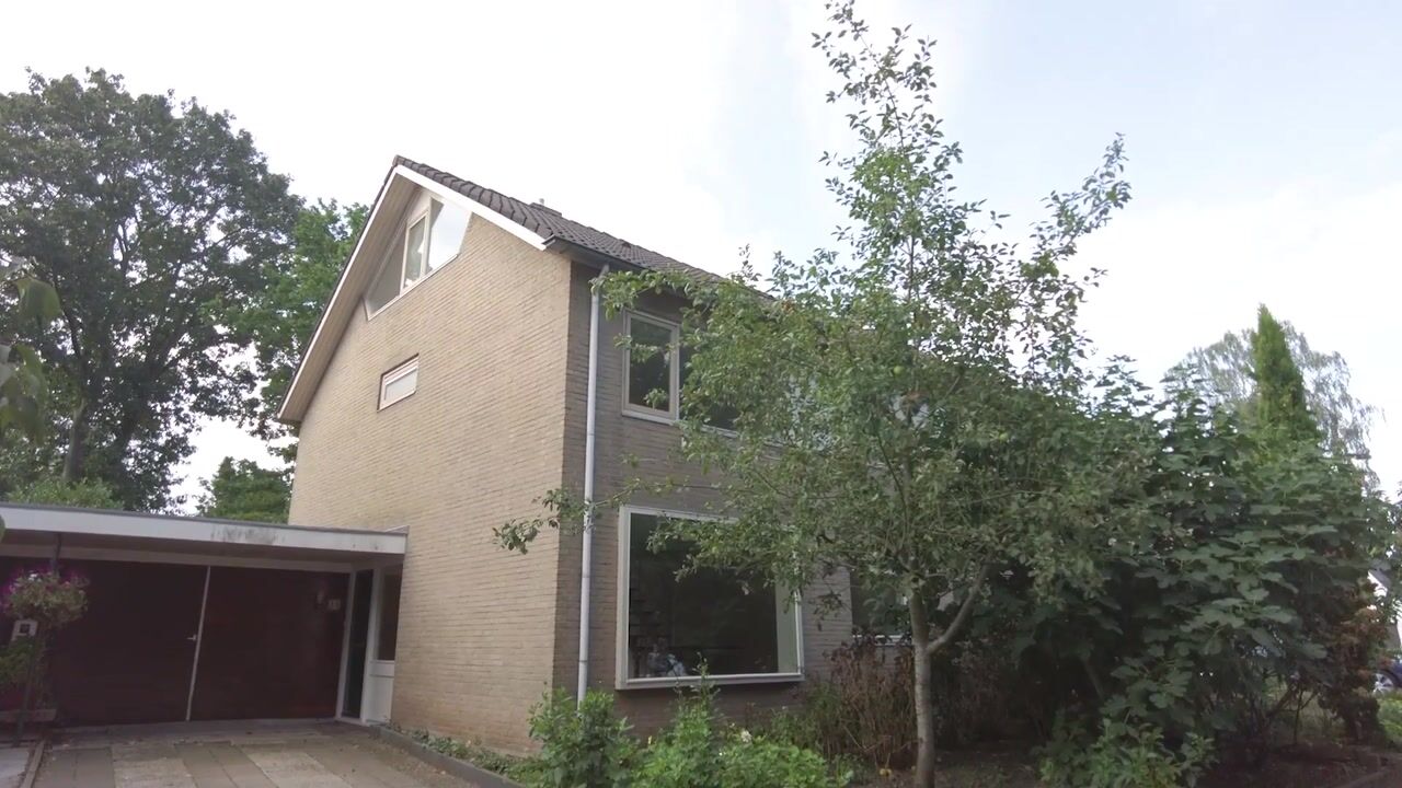 Video van Wandscheerstraat 33