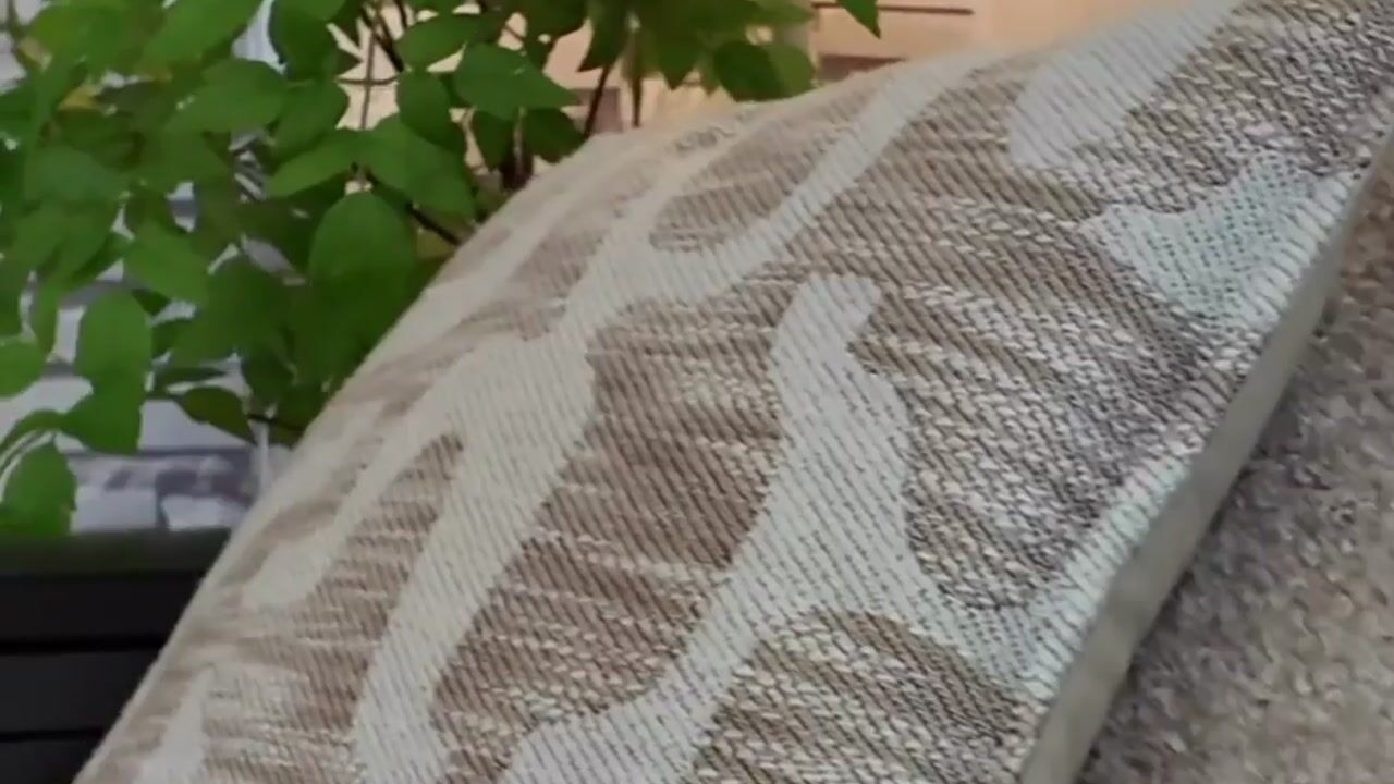Video van Vossiuslaan 30